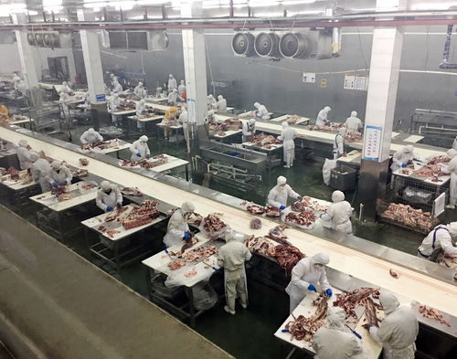 重慶農(nóng)商行 強(qiáng)化銀電合作，以電力大數(shù)據(jù)賦能企業(yè)復(fù)工復(fù)產(chǎn)——市場(chǎng)調(diào)研分析