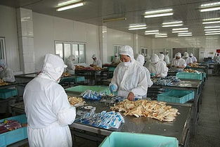 永泰縣水產(chǎn)生產(chǎn)主體調(diào)查摸底工作順利開(kāi)展，助力市場(chǎng)精準(zhǔn)調(diào)研